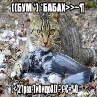 🌟 emoji Канава вымиратель Telegram sticker 12 of 116