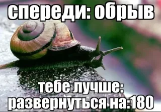 🌟 emoji Канава вымиратель Telegram sticker 19 of 116