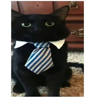 🫥 emoji ፱፱፱፱፱፱፱፱፱፱፱፱፱፱፱፱፱፱፱፱፱፱፱፱፱፱፱፱፱፱፱፱፱ Telegram sticker 11 of 120