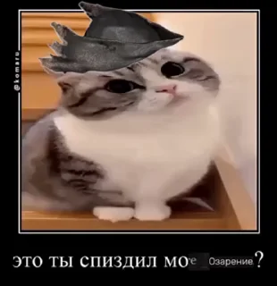 Sticker from Комару пак @MoiStikiBot