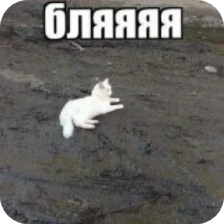 🖼 emoji ፱፱፱፱፱፱፱፱፱፱፱፱፱፱፱፱፱፱፱፱፱፱፱፱፱፱፱፱፱፱፱፱፱ Telegram sticker 14 of 120
