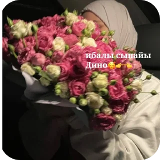 🌸 emoji Планета иесы Динонын бастыгы Telegram sticker 6 of 18