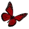 🌟 emoji Gabriel Bortoleto @senokast_f1 Telegram sticker 17 of 160