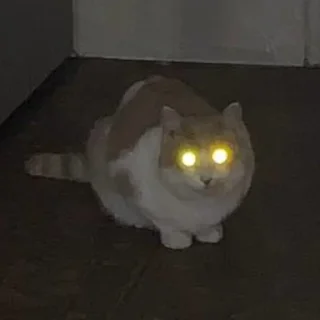 🎃 emoji марсюшка 🐈 Telegram sticker 6 of 59