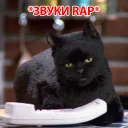 Sticker from Salem @stickersb2b