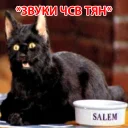 😁 emoji Salem @stickersb2b Telegram sticker 17 of 45