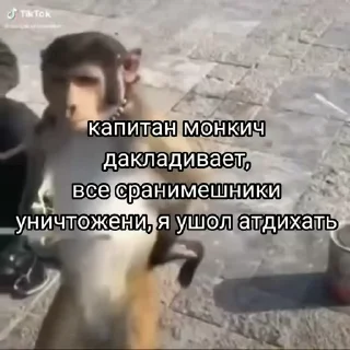 😎 emoji Пезда тебе Telegram sticker 20 of 28