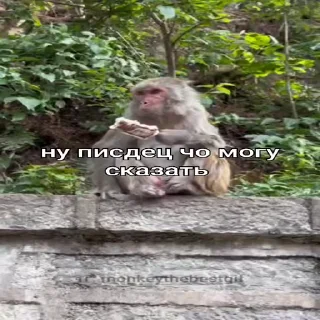 🥲 emoji Пезда тебе Telegram sticker 14 of 28