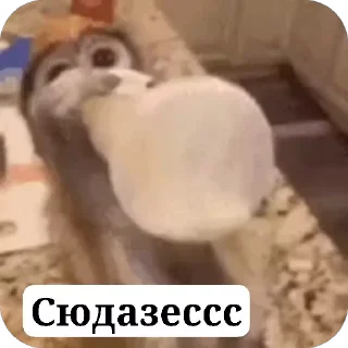 🥛 emoji Манкі Тт Telegram sticker 11 of 120