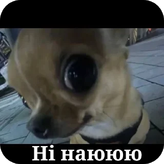 👍 emoji Манкі Тт Telegram sticker 19 of 120