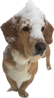❄️ emoji baton Telegram sticker 16 of 28