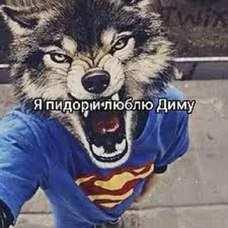 🙈 emoji монстриксы магнит Telegram sticker 23 of 79