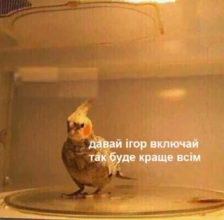 🥲 emoji ПікчіUA💙💛 Telegram sticker 5 of 41