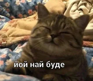☺️ emoji ПікчіUA💙💛 Telegram sticker 6 of 41
