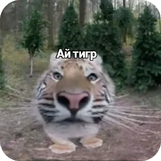 👍 emoji я да Telegram sticker 11 of 31