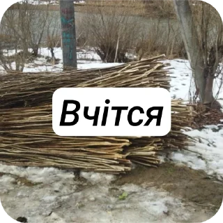 👍 emoji Біда 2025 Telegram sticker 13 of 90