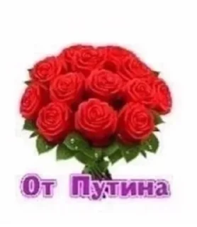 🌹 emoji шпана Telegram sticker 20 of 52