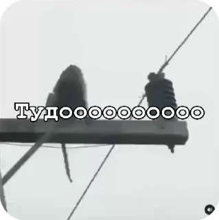 🌟 emoji Влад гей Telegram sticker 1 of 50