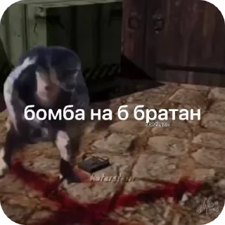 🌟 emoji Влад гей Telegram sticker 6 of 50