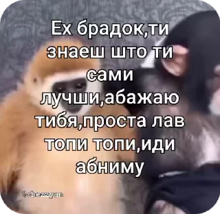 🌟 emoji Влад гей Telegram sticker 4 of 50