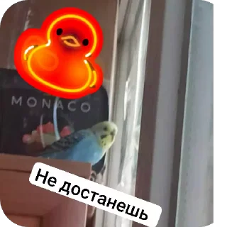 Sticker from Birdy @TgEmodziBot