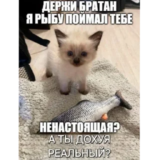 🐱 emoji Пак от челика @mentiki Telegram sticker 3 of 100