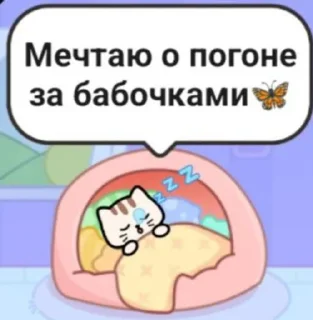 Sticker from 🐱 Everyday Cat