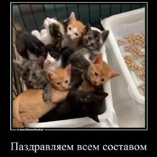 ❤️ emoji Любимые огурчика ➡️ @Ctikerubot Telegram sticker 9 of 51