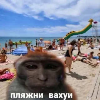 🏖️ emoji вахуи Telegram sticker 6 of 12