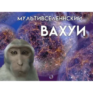 🐵 emoji Вахуи > @bibizyankii Telegram sticker 17 of 50