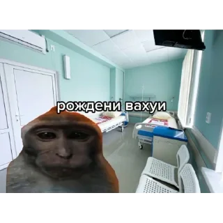 👶 emoji вахуи. Telegram sticker 10 of 47