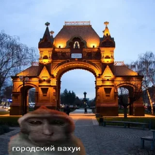🏬 emoji вахуи Telegram sticker 11 of 12