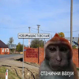 🏡 emoji вахуи Telegram sticker 10 of 12
