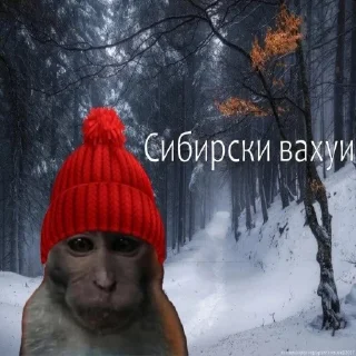 🥶 emoji вахуи Telegram sticker 9 of 12
