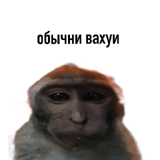 Sticker from вахуи