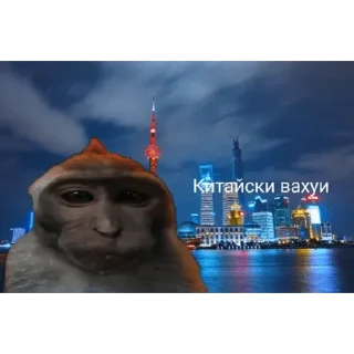 🐵 emoji Вахуи > @bibizyankii Telegram sticker 18 of 50