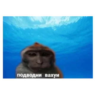 😐 emoji Вахуи Telegram sticker 9 of 18