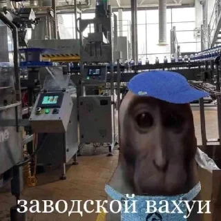 😄 emoji вахуи Telegram sticker 8 of 57