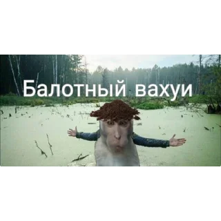 🧙‍♀ emoji вахуи. Telegram sticker 22 of 47