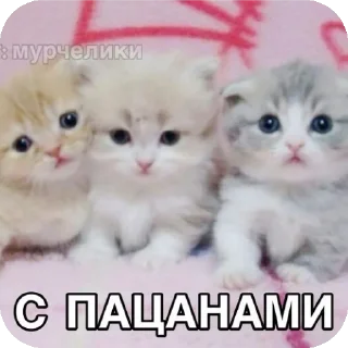 🐱 emoji ебе бе....ыъ...э— @stixasix Telegram sticker 24 of 84
