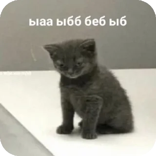 🐱 emoji ебе бе....ыъ...э— @stixasix Telegram sticker 15 of 84