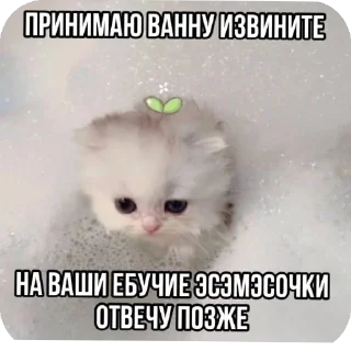 🐱 emoji ебе бе....ыъ...э— @stixasix Telegram sticker 19 of 84