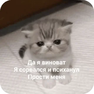 Sticker from ебе бе....ыъ...э— @stixasix