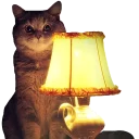 😏 emoji Твои стикеры — @stckrRobot Telegram sticker 23 of 89