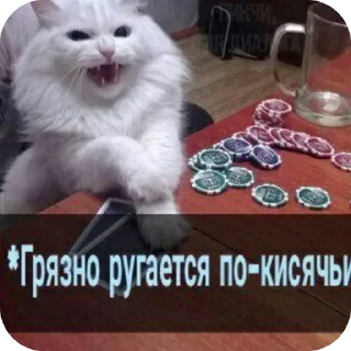🫥 emoji XD пак хару Telegram sticker 11 of 108
