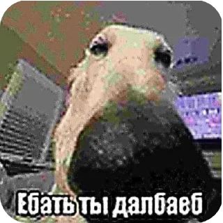 Sticker from чайник
