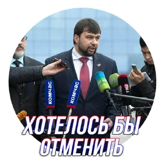 ✅ emoji Глава ДНР Telegram sticker 14 of 24