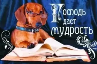 Sticker from христианские открытки