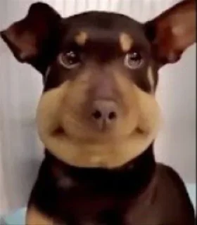 😶 emoji Просто хороші стікери Telegram sticker 10 of 110