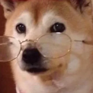 🤓 emoji Просто хороші стікери Telegram sticker 17 of 110